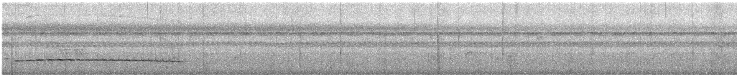Batarito Coronipunteado - ML632363273