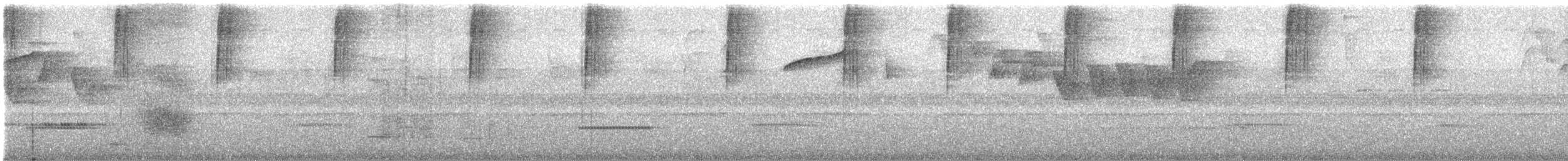 Violet-tailed Sylph - ML632363384