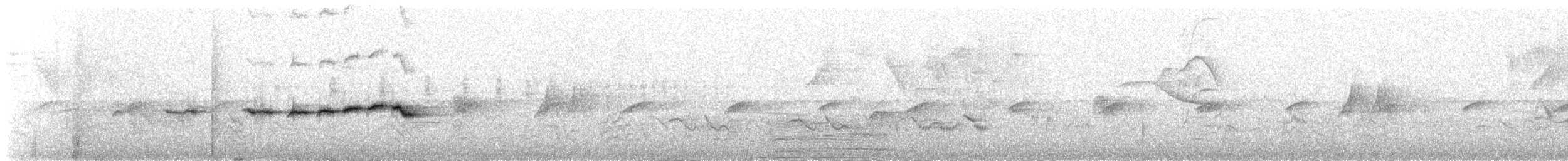 Gray-and-gold Warbler - ML632370088