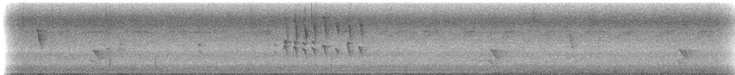 Méliphage modeste - ML632370974