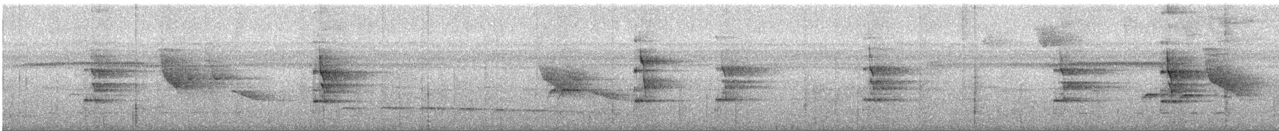 Bindenarassari - ML632371137