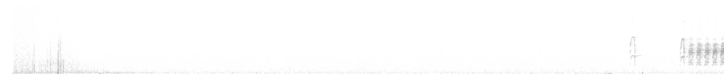 Arizona Woodpecker - ML632373891