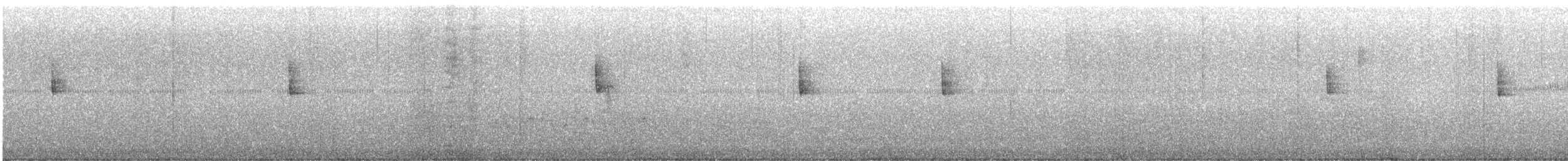 hetteparula - ML632376000