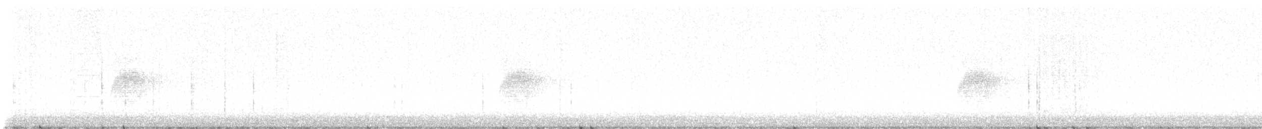 sluka americká - ML632380188