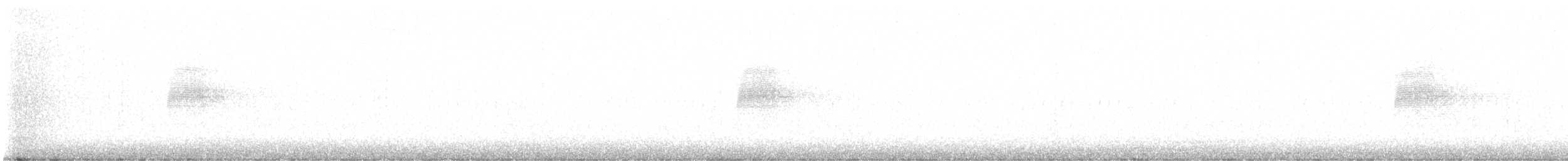 sluka americká - ML632380189