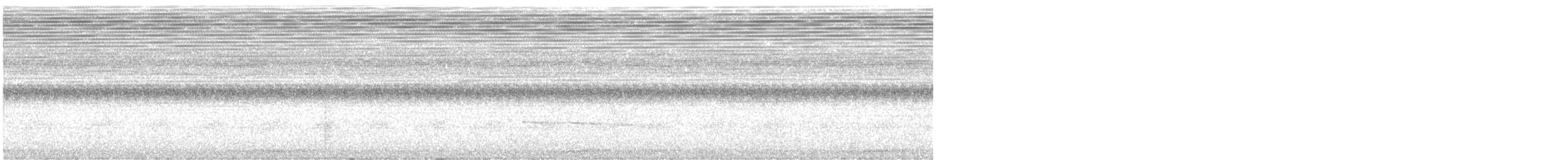 ヒメテンニョゲラ - ML632381540