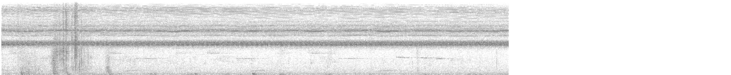 ヒメテンニョゲラ - ML632381859