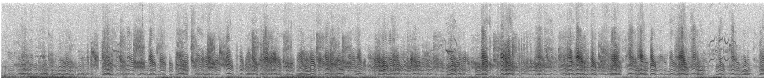 Sterne à longues pattes - ML632388268