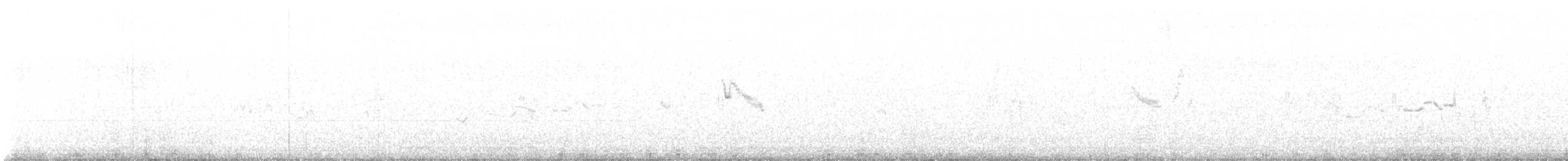 Cochevis à gros bec - ML632389239