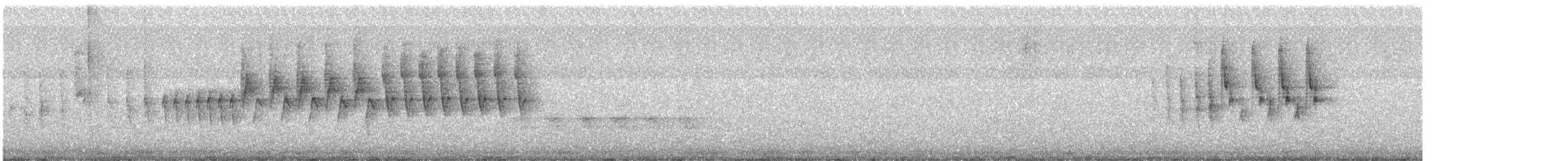 brunkroneparula (rufifrons gr.) - ML632389914