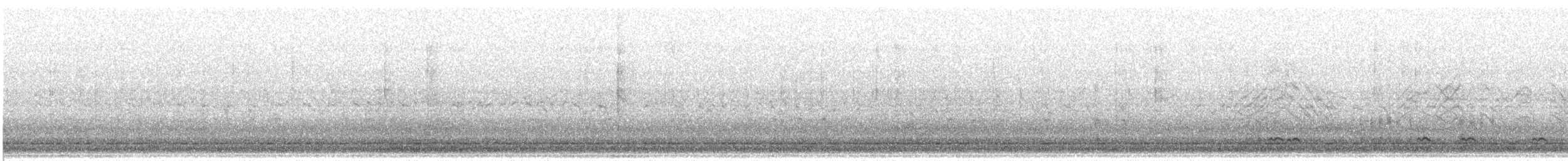 Codone - ML632395875