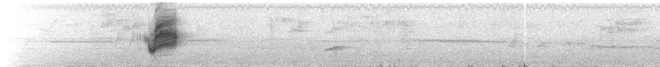 White-crowned Manakin - ML632396932