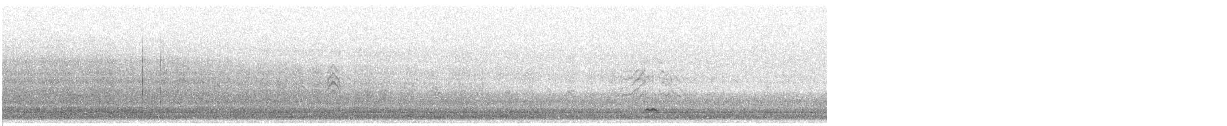 Codone - ML632397979