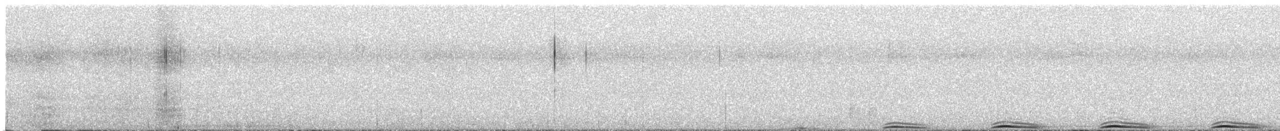 Chouette lapone - ML632415501