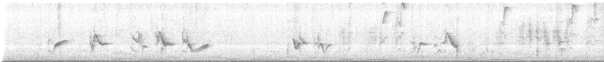 vireo sp. - ML632416359