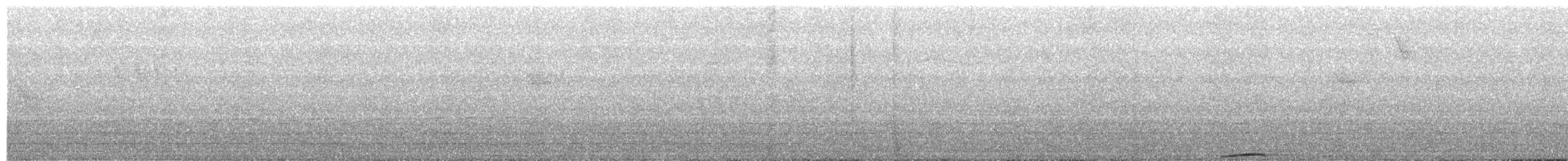 Whooping Motmot - ML632422322