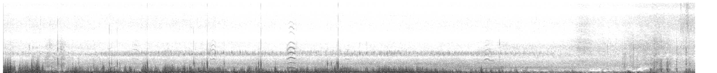 Cygne siffleur - ML632425221