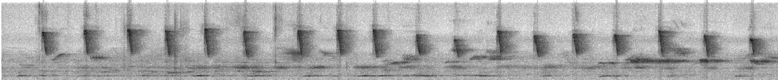 Gray-headed Canary-Flycatcher - ML632433955