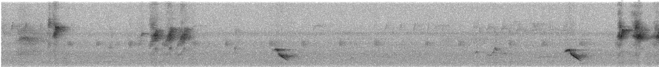 Black-naped Monarch - ML632434172