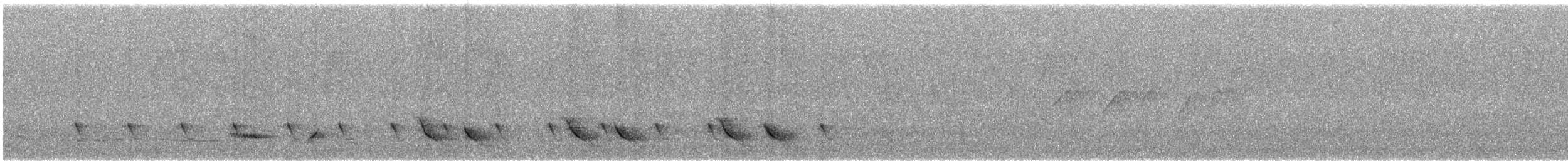 White-rumped Shama - ML632434175