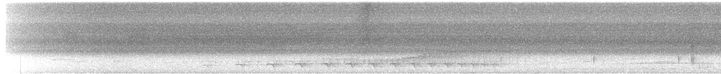Streifenbaumsteiger - ML632443800