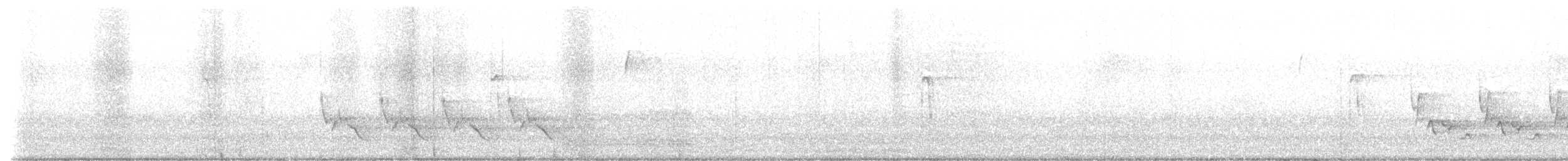 Carolina Wren - ML632446282