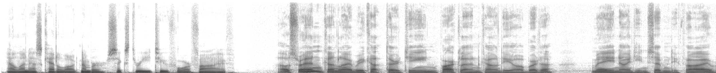 Northern House Wren (Northern) - ML63245