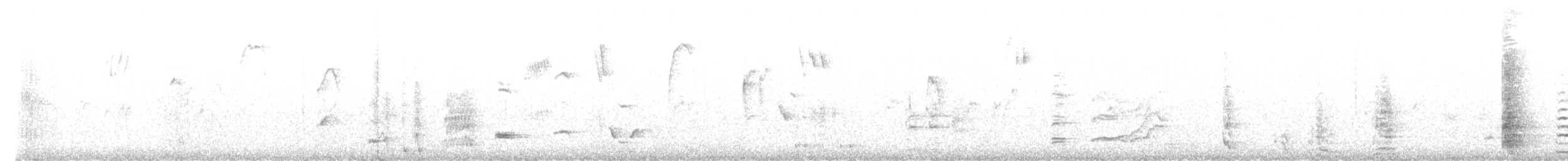 Mielero Tui - ML632452688