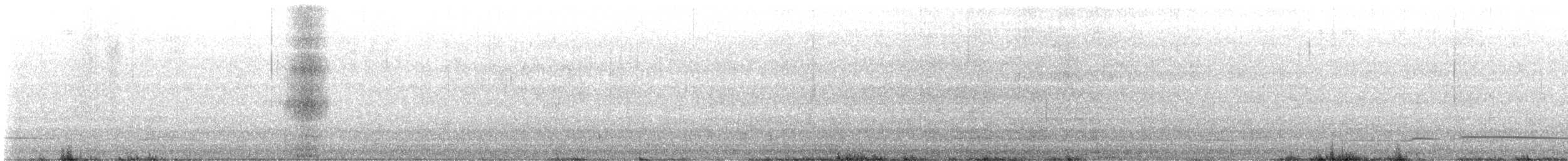Black Scoter - ML632454371