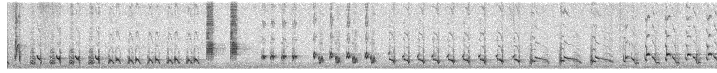 Northern Mockingbird - ML632454479