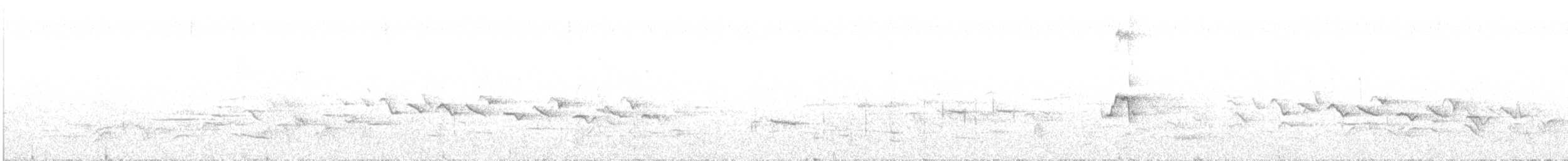 Hawaii Akepa - ML632459727