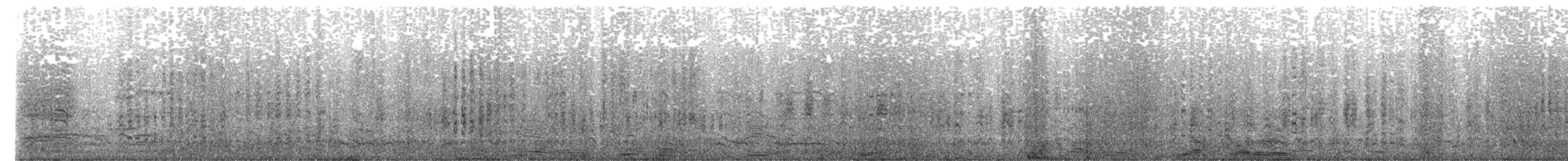 Petrel Damero (de las Snares) - ML632461262