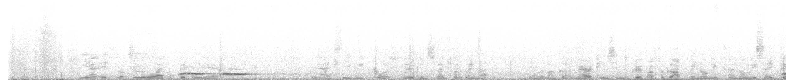 Nínox Maorí - ML632461348