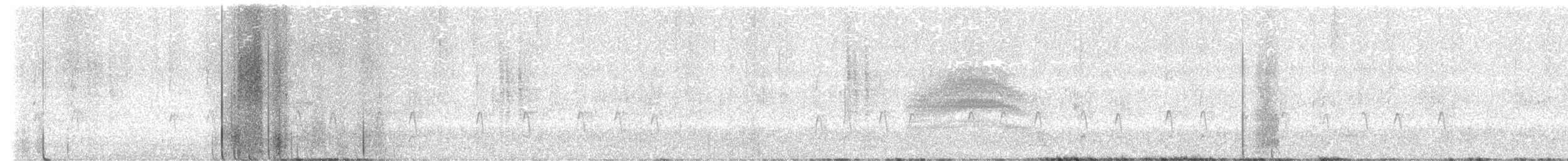 フユミソサザイ - ML632461443