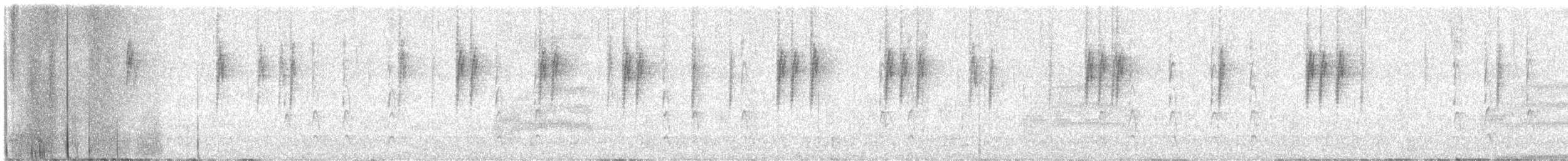 フユミソサザイ - ML632461461