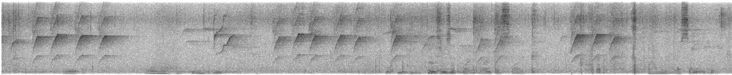 オーストラリアメンガタカササギビタキ - ML632461920
