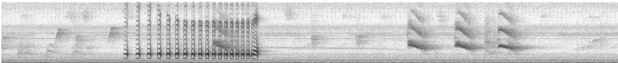 Lined Antshrike - ML632467317