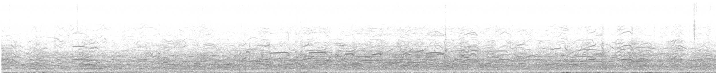 クロワカモメ - ML632468502