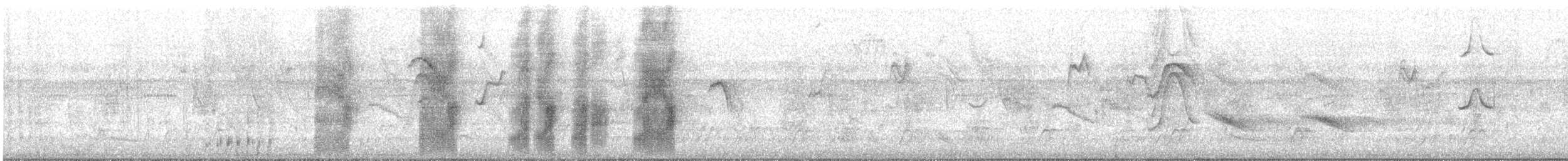 Masked Tityra - ML632469352