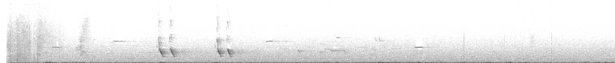 Mielero Maorí - ML632473068