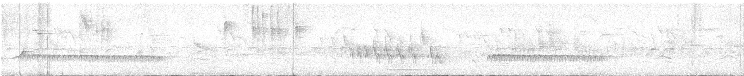 spettmeis (europaea gr.) - ML632479048