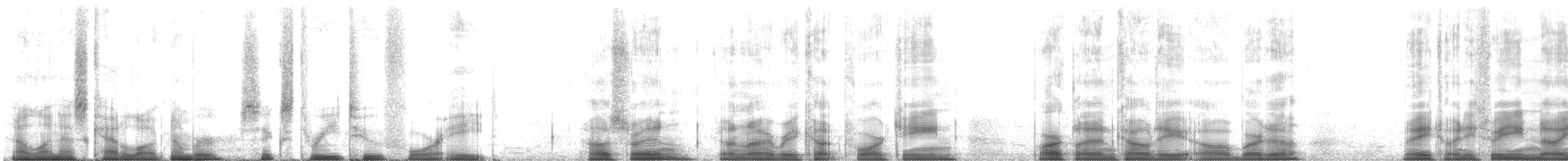 Northern House Wren (Northern) - ML63248