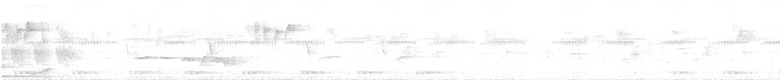 Gray-bellied Tesia - ML632481160