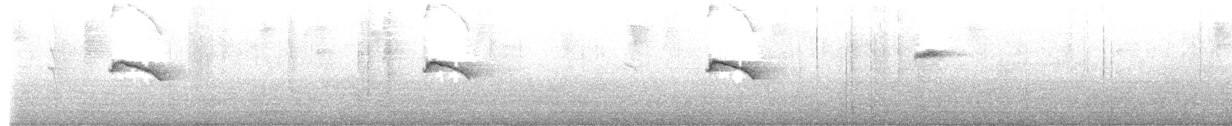 ベニエリフウキンチョウ - ML632484058