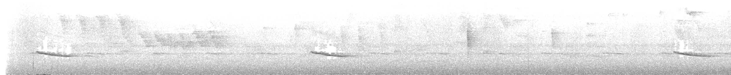 Tawny-faced Gnatwren - ML632484077