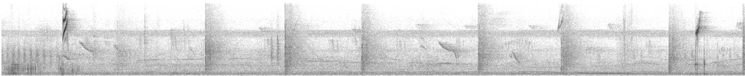 Blue-black Grassquit - ML632485851