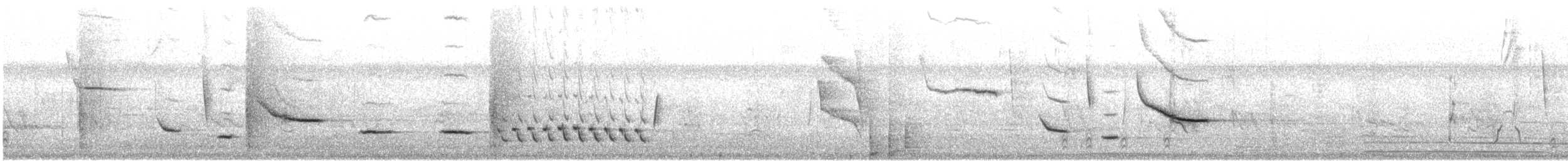 Banded Wren - ML632485856