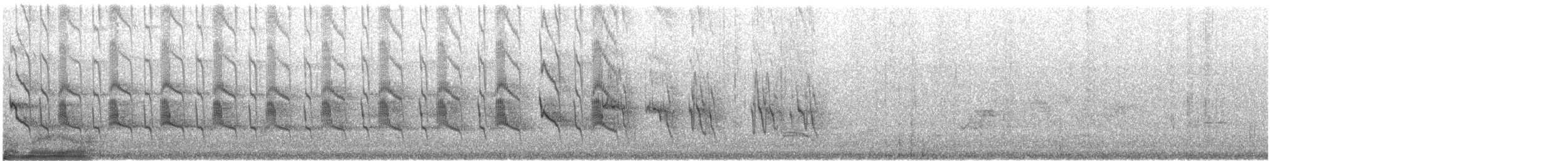 Social Flycatcher - ML632485877