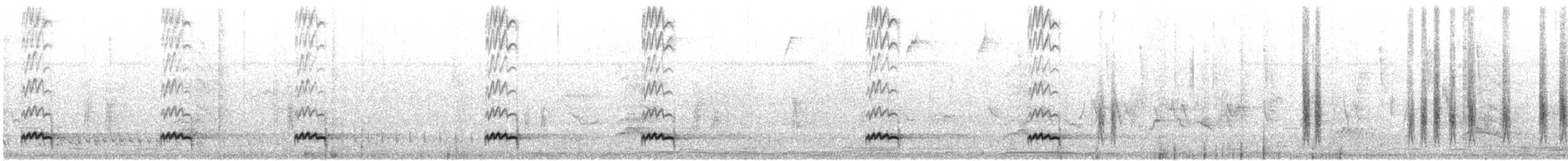 Lesser Ground-Cuckoo - ML632485880