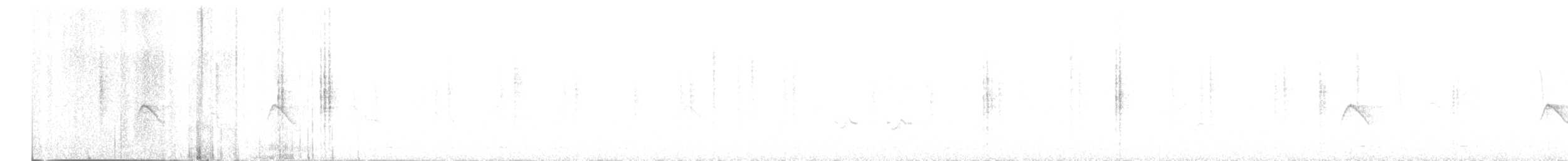 Masked Shrike - ML632486466